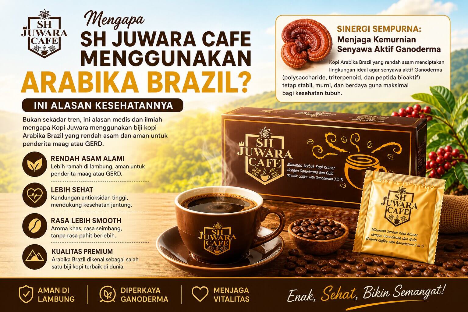 Mengapa SH Juwara Cafe Harus Menggunakan Kopi Arabika Brazil?