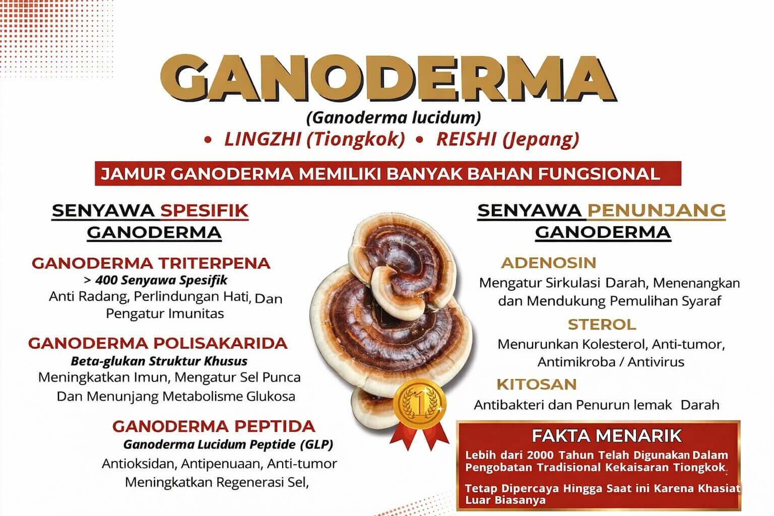 Manfaat Ganoderma Kopi Juwara SH Juwara Cafe 